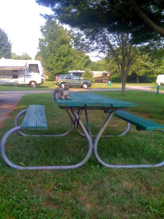 Battle Row County Park Picture 6
