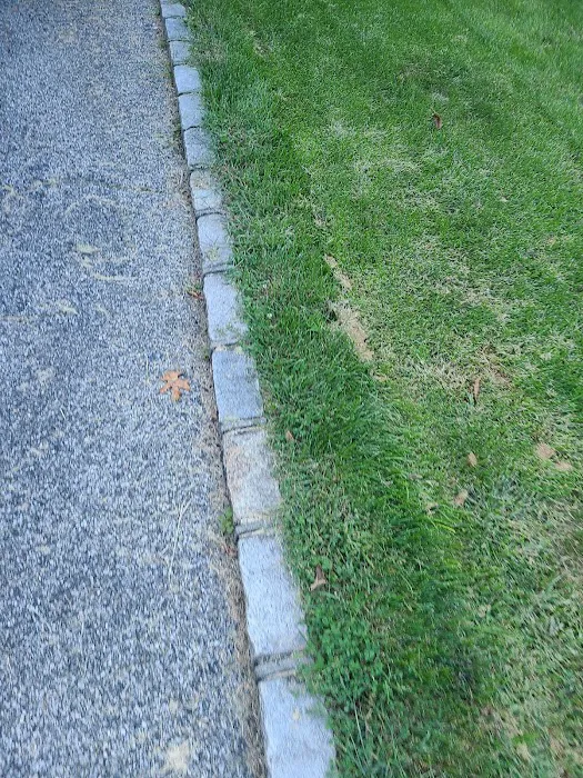 Haypath Road Park Picture 7