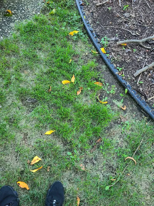 Haypath Road Park Picture 10