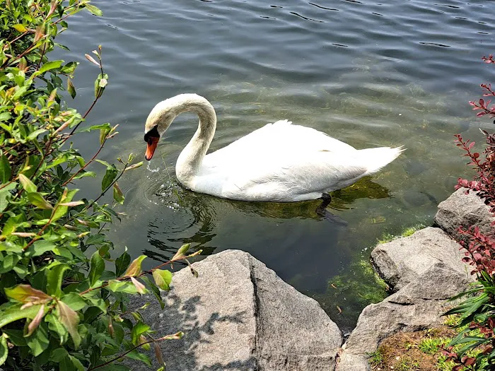Heckscher Park Picture 4