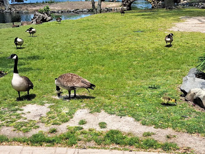 Heckscher Park Picture 7