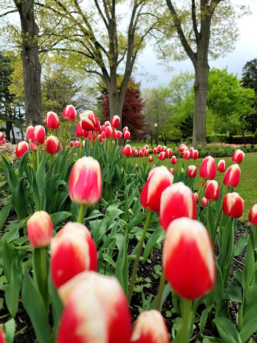 Heckscher Park Picture 8
