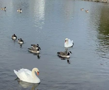Crystal Lake