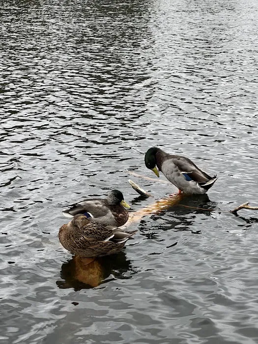 Crystal Lake Picture 4