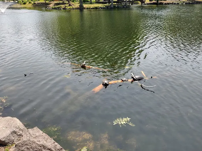 Crystal Lake Picture 10