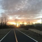 Setauket Greenway Trail Head