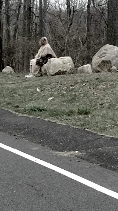 Setauket Greenway Trail Head Picture 4
