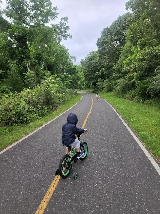 Setauket Greenway Trail Head Picture 8