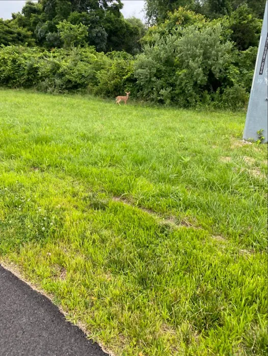North Shore Rail Trail Picture 3
