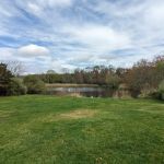 Bartlett Pond Park