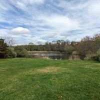 Bartlett Pond Park ico