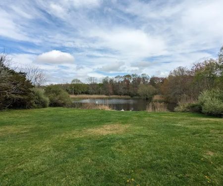 Bartlett Pond Park