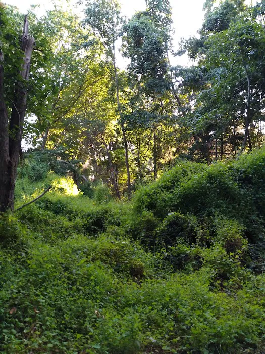 Bartlett Pond Park Picture 8
