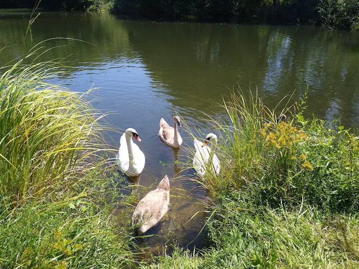 Bartlett Pond Park Picture 9