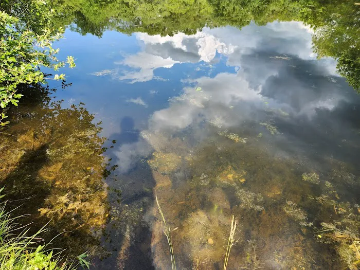 Bartlett Pond Park Picture 7