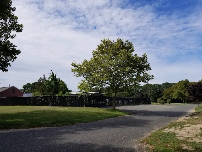 Washington Memorial Park Picture 4
