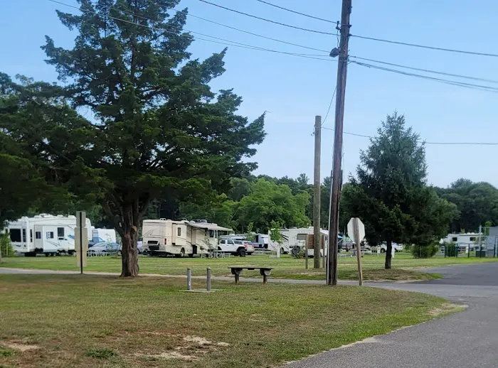 Cathedral Pines County Park Picture 1