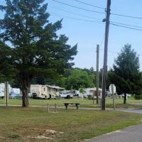 Cathedral Pines County Park ico