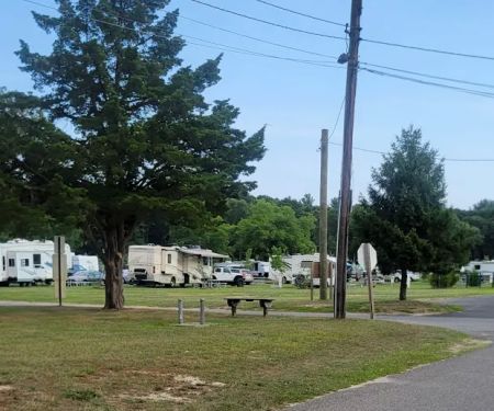 Cathedral Pines County Park