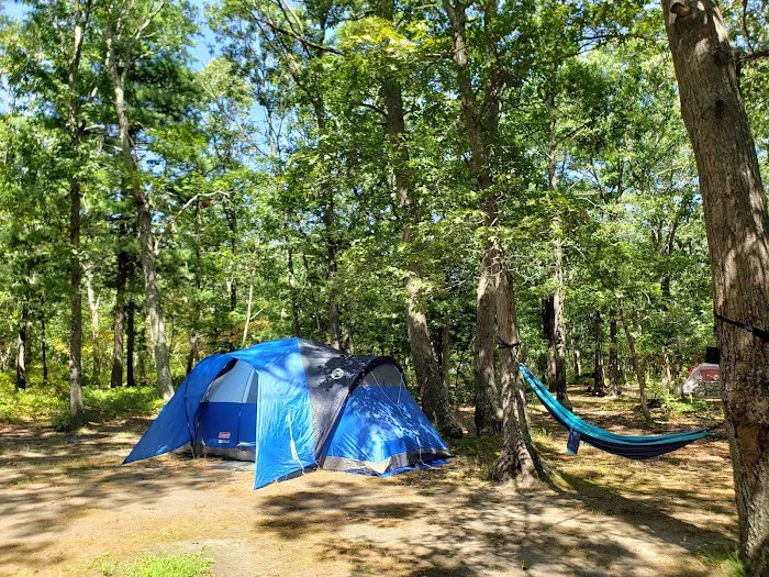 Cathedral Pines County Park Picture 4