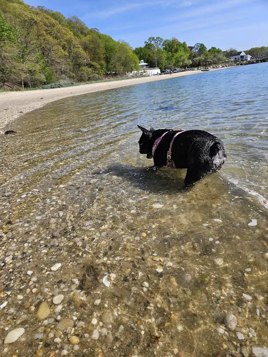 Port Jefferson Dog Beach Picture 3