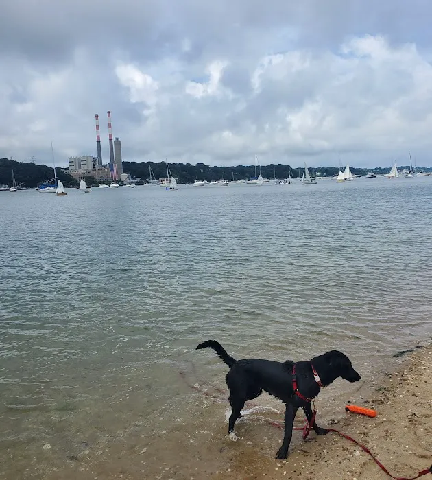 Port Jefferson Dog Beach Picture 9