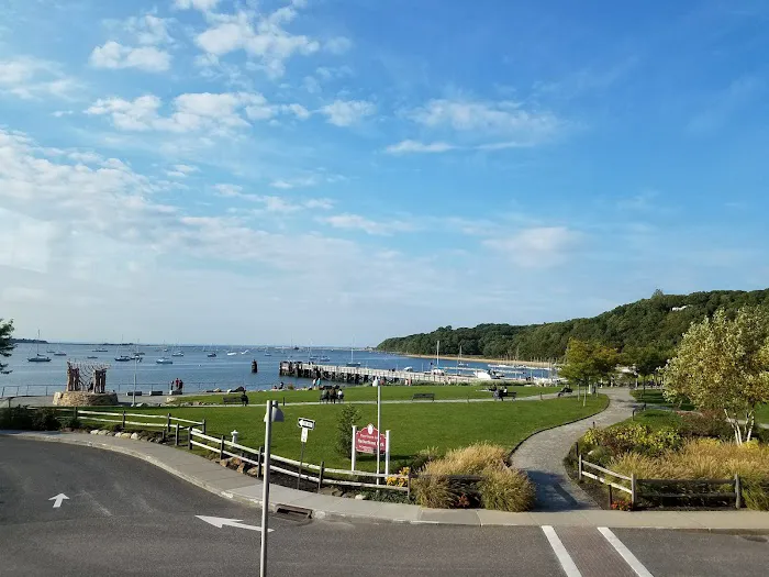 Port Jefferson Dog Beach Picture 5