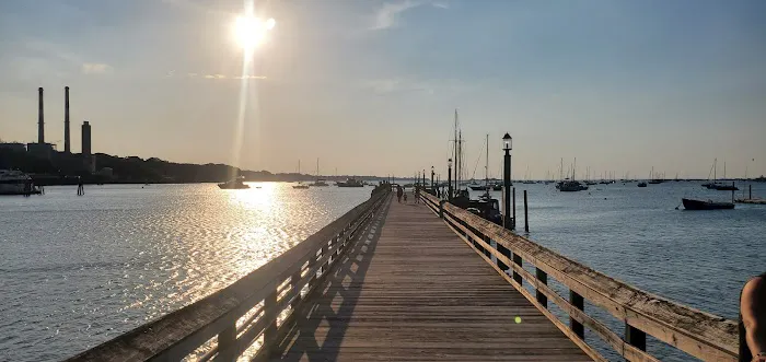 Port Jefferson Dog Beach Picture 10