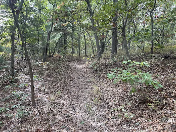 Trail Stop Picture 2