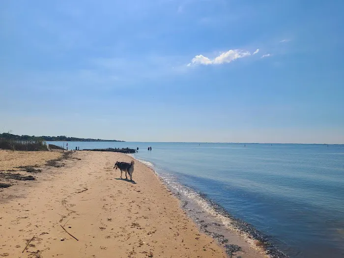 Mud Creek Dog Park Picture 1