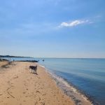 Mud Creek Dog Park