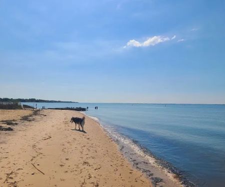 Mud Creek Dog Park