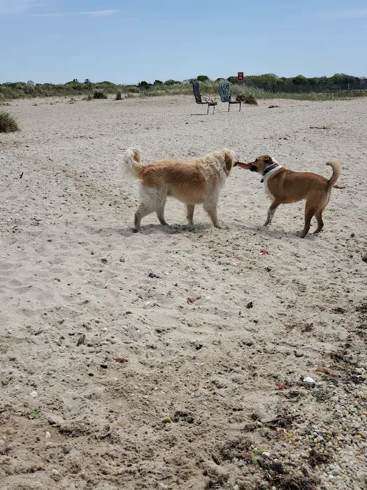 Mud Creek Dog Park Picture 8