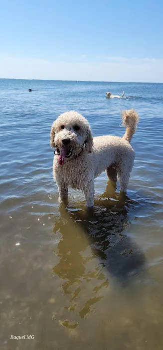 Mud Creek Dog Park Picture 10