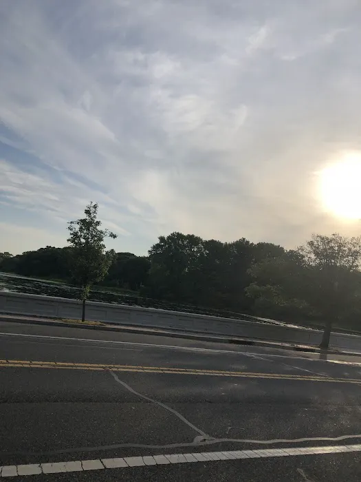 Robinson POND Picture 4