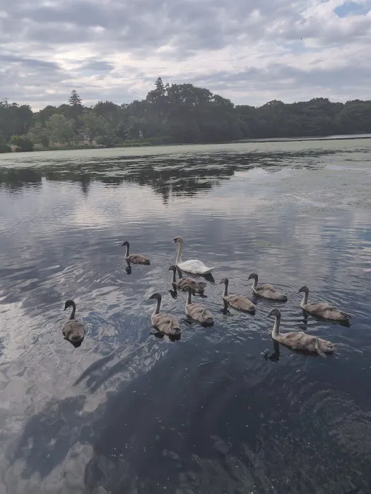 Robinson POND Picture 6