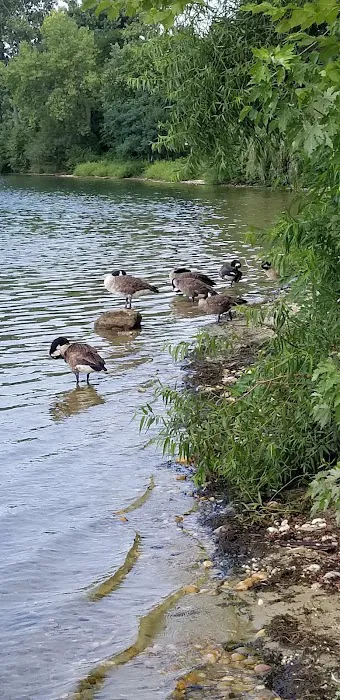 Robinson POND Picture 7