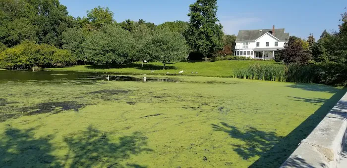 Robinson POND Picture 9