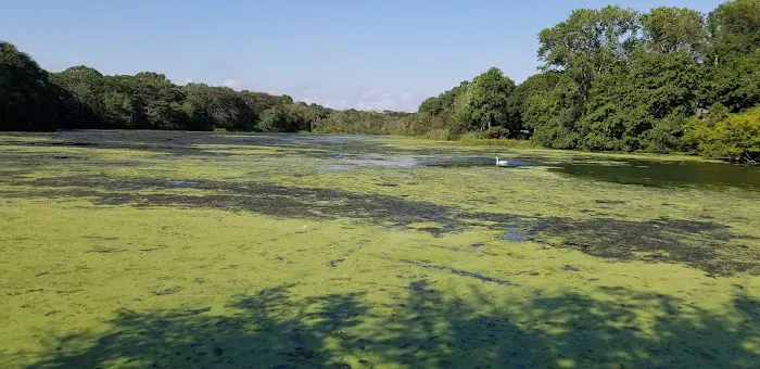 Robinson POND Picture 8
