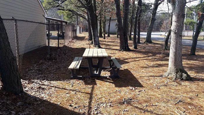 Martha Avenue Recreation Park Picture 5