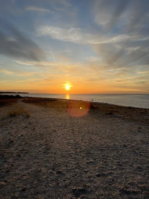 McAllister County Park - Port Jeff Harbor Beach - Picture 5