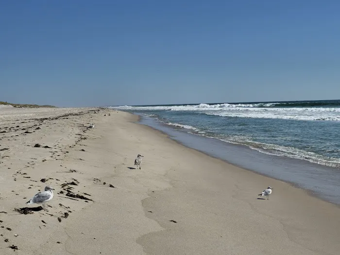 Robert Moses State Park - Long Island Picture 2