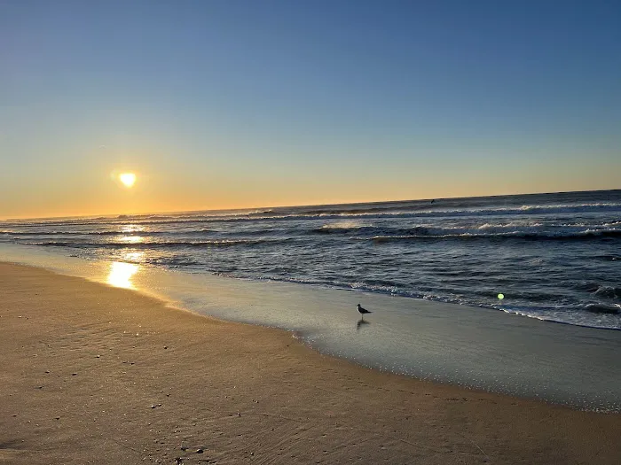 Robert Moses State Park - Long Island Picture 3