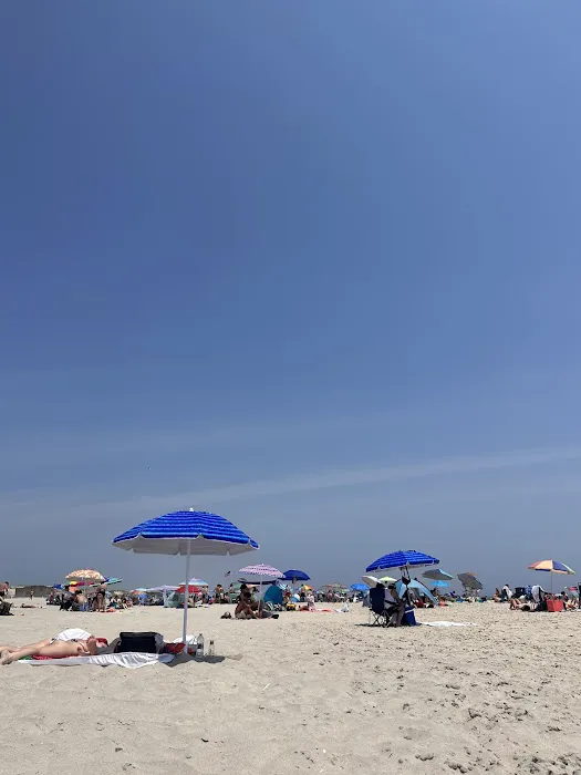 Robert Moses State Park / Field 4 Picture 3