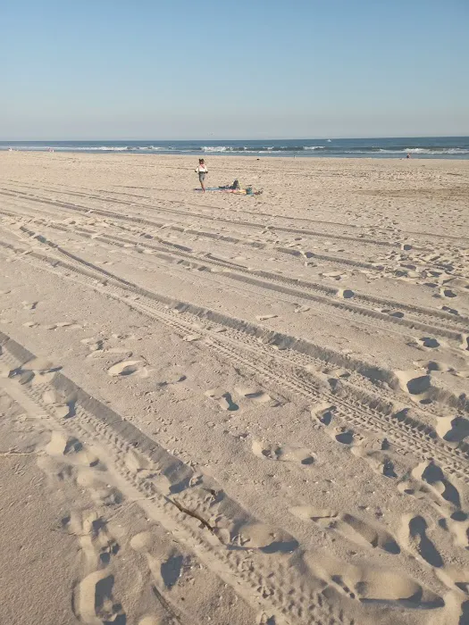 Robert Moses State Park / Field 4 Picture 1