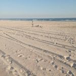 Robert Moses State Park / Field 4