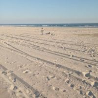 Robert Moses State Park / Field 4 ico
