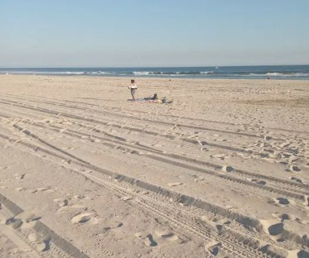 Robert Moses State Park / Field 4