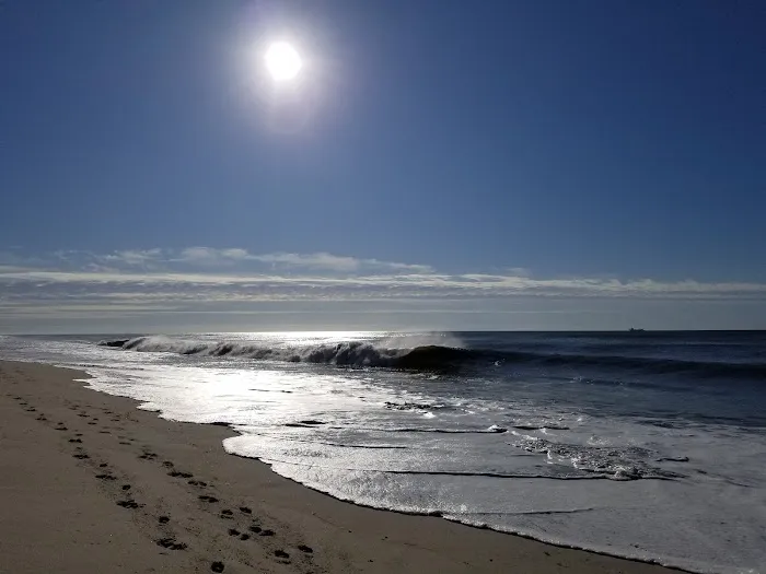 Fire Island Beach House Picture 4