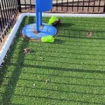 Airport Plaza Dog Park